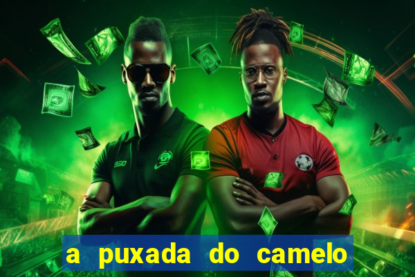 a puxada do camelo no jogo do bicho