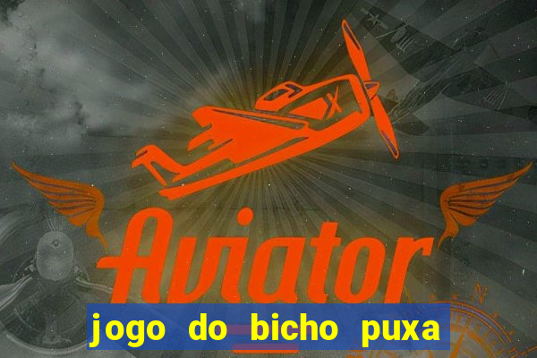 jogo do bicho puxa de dona maria