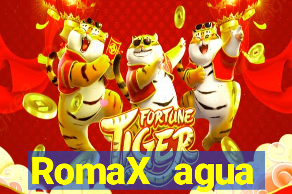 RomaX agua sanitaria fispq agua sanitaria romax