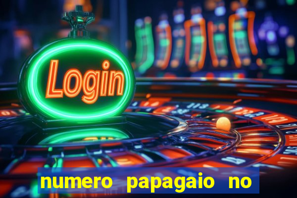 numero papagaio no jogo do bicho