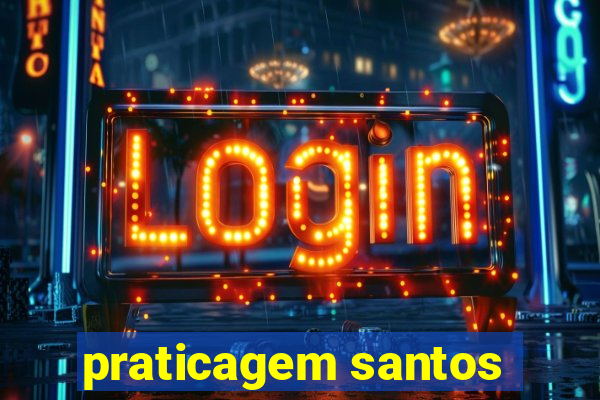 praticagem santos